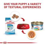 Royal Canin Size Health Nutrition X-Small Puppy Dry Dog Food, 3 lb Bag