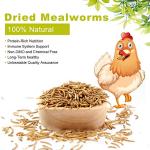 LuckyQworms 20lbs Mealworms, High-Protein Dried Mealworms for Birds, Chickens, Turtles, Fish, Hamsters and Hedgehogs, Non-GMO and Chemical Free, All Natural Animal Feed