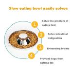 YUDANSI Stainless Steel Puppy Weaning Bowls,Cat Bowls for Food Water,Multiple Puppies Feeder Whelping Dishes,Litter Feeding Station Pans for Small Dogs Cats Eating at Same Time-Small Medium Large Size