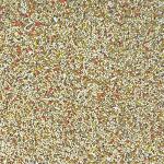 Higgins 2 Pack of Sunburst Gourmet Blend Parakeet Food, 2 Pounds Each, with Protein Egg Food