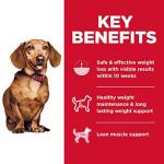 Hill's Science Diet Adult Perfect Weight Small & Mini Chicken Recipe Dry Dog Food, 15 lb. Bag