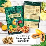 LAFEBER'S Nutri-Berries Pet Bird Food Variety Sampler Bundles, Made with Non-GMO and Human-Grade Ingredients, for Parrots, 10 oz. Each (4 Pk Bundle) with Free Avi-Cake Sample
