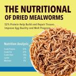 WormsFarm 10lb Dried Mealworms for Wild Birds Chickens Feed for Laying Hens,Ducks,Reptiles