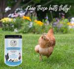 Fresh Eggs Daily Poultry Probiotics Feed Supplement – Natural Digestive & Immune Support for Chickens & Ducks – Enhances Egg Quality & Reduces Odor – 1 lb