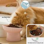 OMAYKEY 6.5 Inch Extra Wide Ceramic Raised Cat Bowls, Porcelain Tilted Elevated Cat Food Water Bowl Dish, Stress Free Pet Feeder Dishes for Cats & Small Dogs, Whisker Fatigue, White & Pink