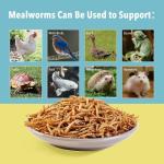 WormsFarm 10lb Dried Mealworms for Wild Birds Chickens Feed for Laying Hens,Ducks,Reptiles