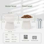 CEEFU 2 Elevated Ceramic Cat Bowls Extra Wide for Food & Water – Whisker Fatigue Shallow Food Dish, Lead & Cadmium-Free, Raised Height for Cats and Dogs, Two Different Depth Bowls, White