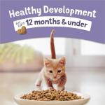 Purina Cat Chow Kitten Food Healthy Development with Real Chicken - Dry Kitten Food, 12.6 Pound (Pack of 4) 3.15 lb. Bags