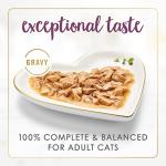 Gravy Lovers Chicken Cat Wet Cat Food (3-oz can,case of 24)