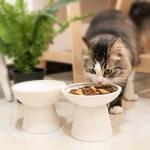 CEEFU 2 Elevated Ceramic Cat Bowls Extra Wide for Food & Water – Whisker Fatigue Shallow Food Dish, Lead & Cadmium-Free, Raised Height for Cats and Dogs, Two Different Depth Bowls, White