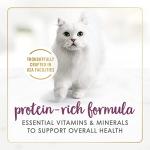 Gravy Lovers Chicken Cat Wet Cat Food (3-oz can,case of 24)