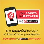 Purina Cat Chow Kitten Food Healthy Development with Real Chicken - Dry Kitten Food, 12.6 Pound (Pack of 4) 3.15 lb. Bags
