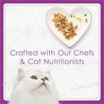 Purina Fancy Feast Gourmet Wet Cat Food Variety Pack, Petites Gravy Collection, break-apart tubs, 24 servings - (Pack of 12) 2.8 oz. Tubs
