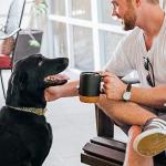 DOWAN 15 oz Ceramic Coffee Mugs Set of 2