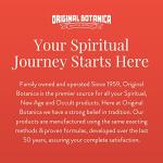 Victory Over Evil Herbal Bath and Floor Wash