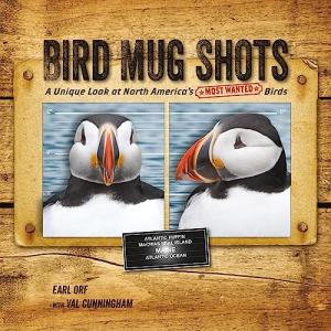 Bird Mug Shots: North America's Top Bird Designs