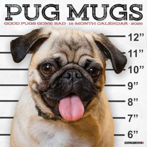 Pug Lovers 2026 Wall Calendar with Mugs