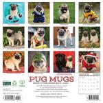 Pug Lovers 2026 Wall Calendar with Mugs