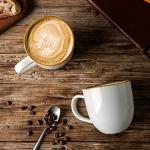 Set of 6 Modern Ceramic Coffee Mugs