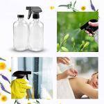 Glass Spray Bottle Set with Roller Bottles