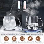 DOPUDO Clear Glass Tea Cup with Infuser