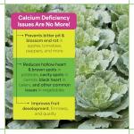 Calcium Nitrate Fertilizer for Healthy Plants