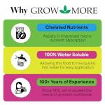 Calcium Nitrate Fertilizer for Healthy Plants