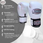 Sleek Boxing Gloves for Training and Sparring