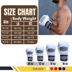 Sleek Boxing Gloves for Training and Sparring