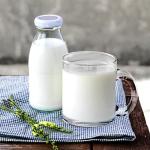 Accguan 8-Pack Glass Coffee Mugs with Handles