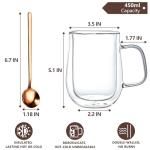 Insulated Double-Walled Glass Coffee Mugs Set of 2