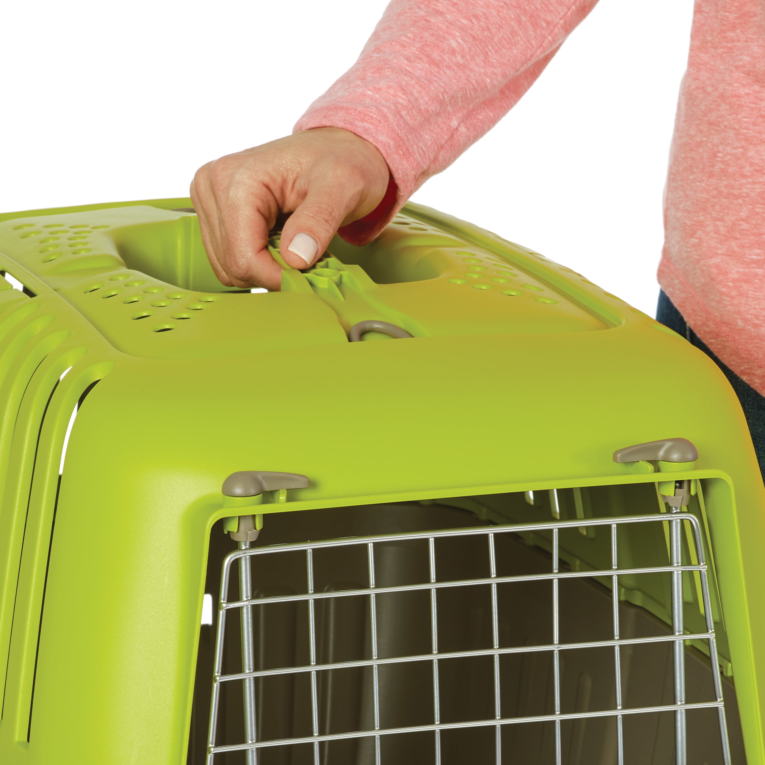 22-Inch Green Hard-Sided Pet Carrier for Cats