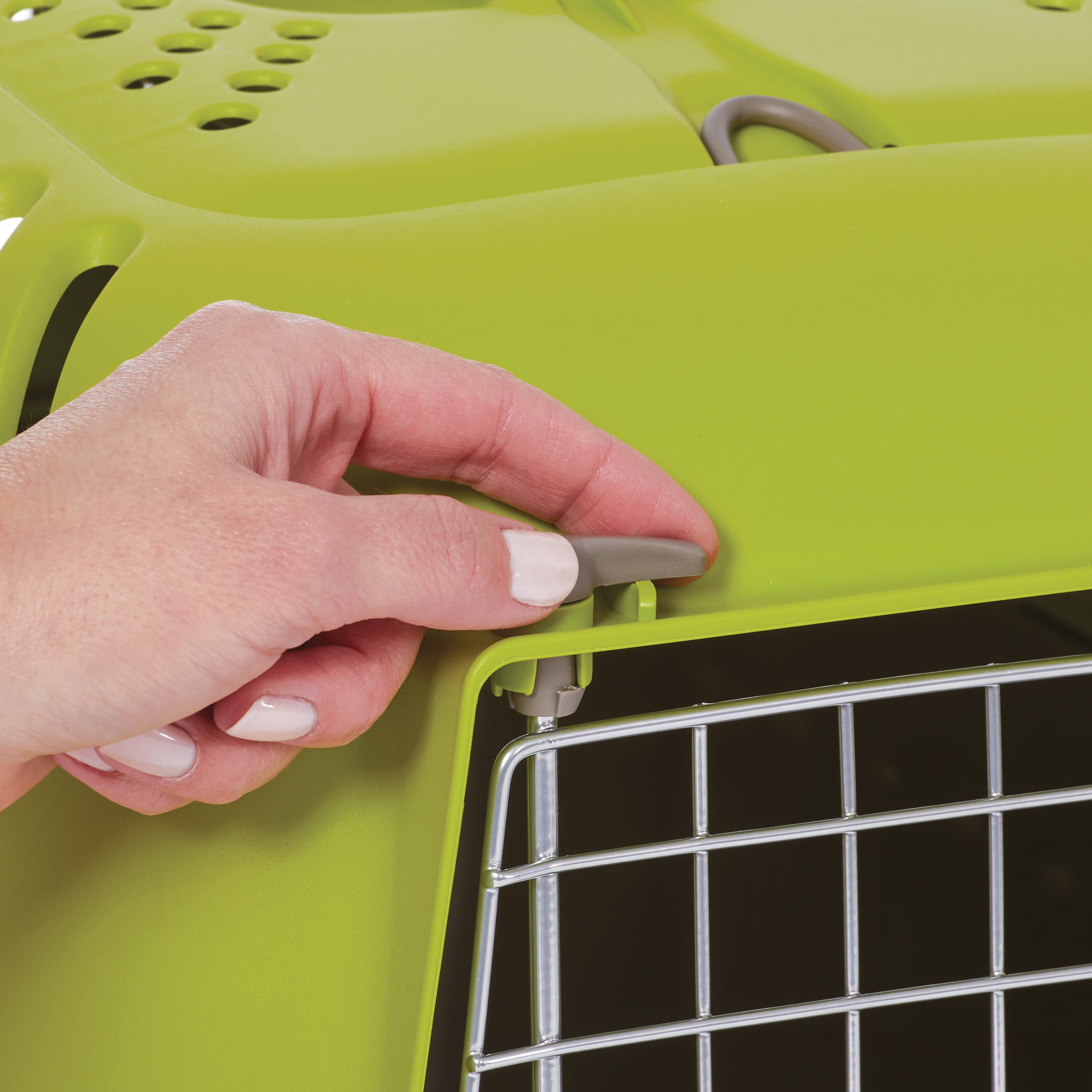 22-Inch Green Hard-Sided Pet Carrier for Cats