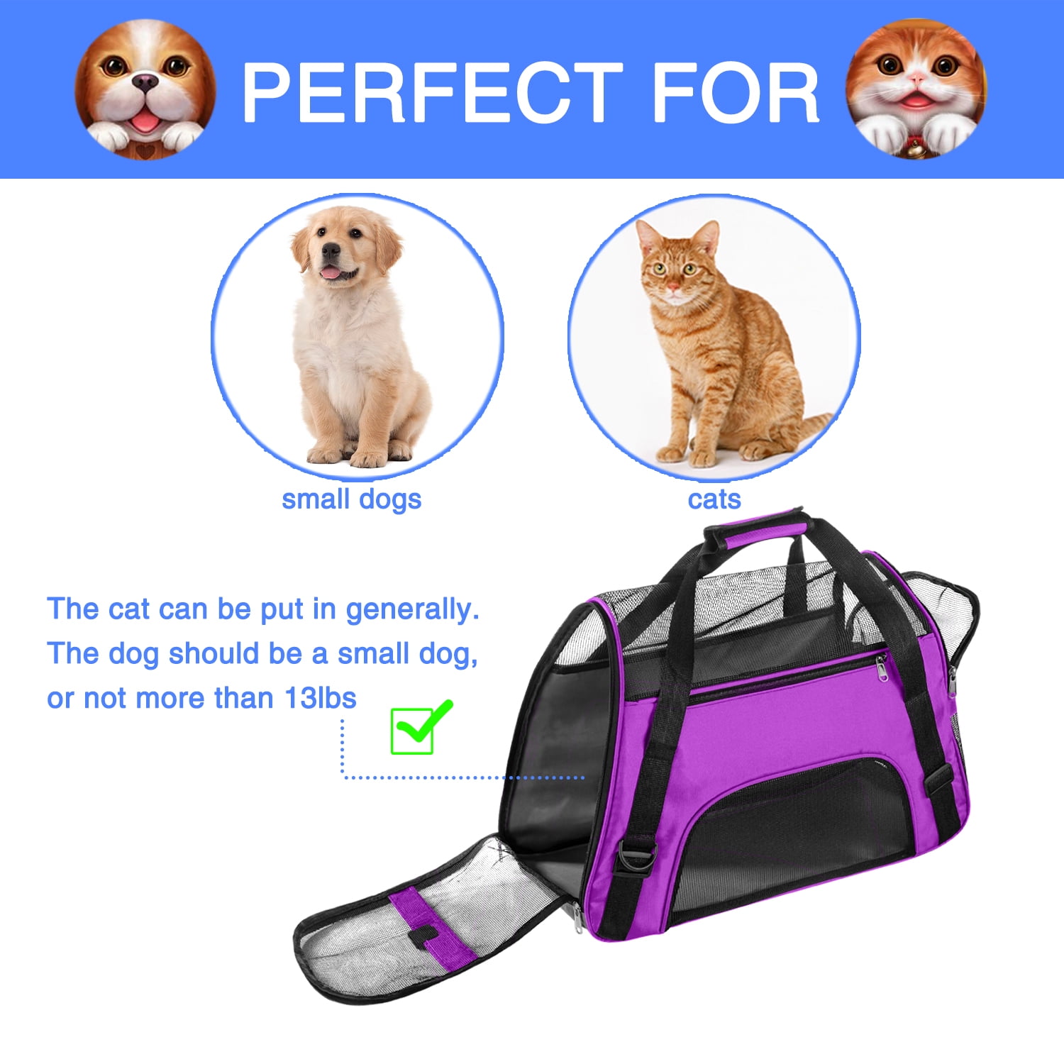 Airline Approved Soft Sided Pet Carrier