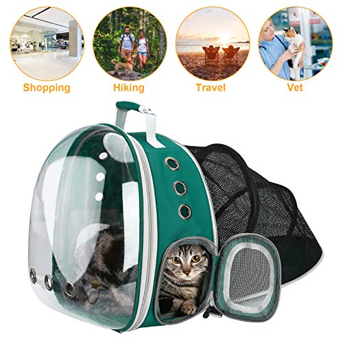 Expandable Cat Backpack for Travel and Adventure