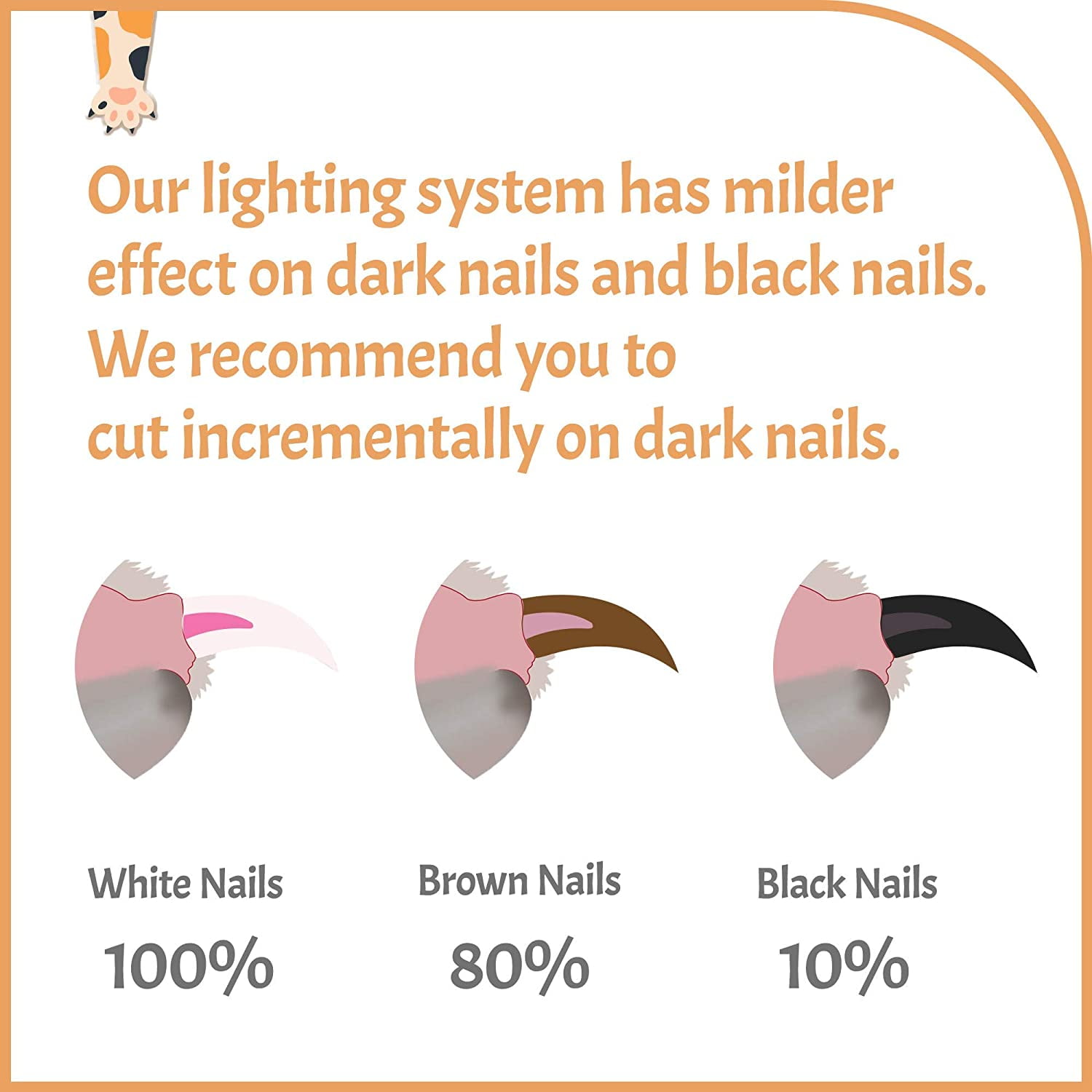 Bengal Cat Nail Clippers with LED Light