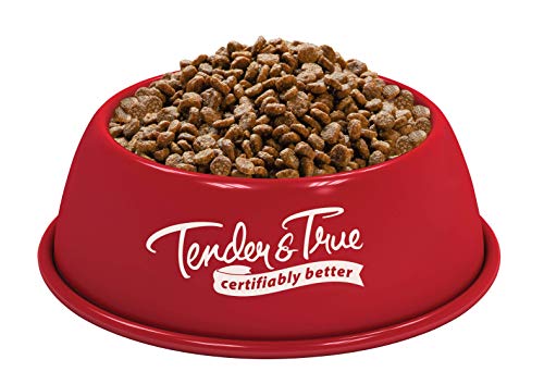 Antibiotic-Free Turkey Cat Food, 3 lb