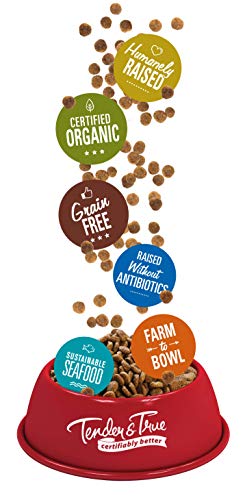 Organic Turkey & Liver Cat Food - 3lb