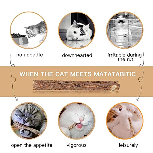 Natural Silvervine Catnip Chew Sticks (12+ pcs)