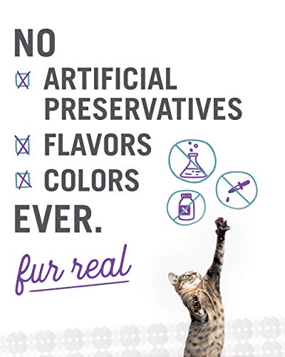 Grain-free Whitefish and Chicken Kibble for Bengal Cats