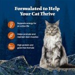 Blue Buffalo Wild Delights Cat Food (24 Pack)