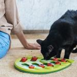 Interactive Bengal Cat Treat Puzzle - Petstages Nina Ottosson