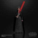 Star Wars Rey Dark Side Vision Action Figure