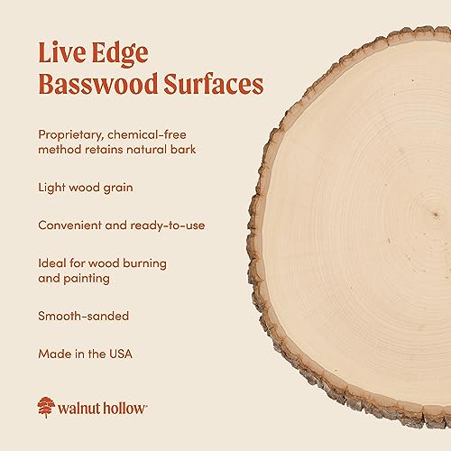 Extra Large Walnut Hollow Basswood Country Round for DIY