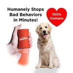 Klein Brands ST100 ShakeTrainer Dog Training Gadget