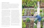 Grow Your Own Veg: A Year of Home Gardening