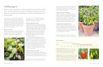 Grow Your Own Veg: A Year of Home Gardening