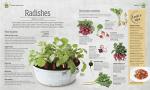 Indoor Edible Garden: Grow Herbs, Fruits, and Veggies