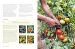 Grow Your Own Veg: A Year of Home Gardening