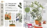 Indoor Edible Garden: Grow Herbs, Fruits, and Veggies